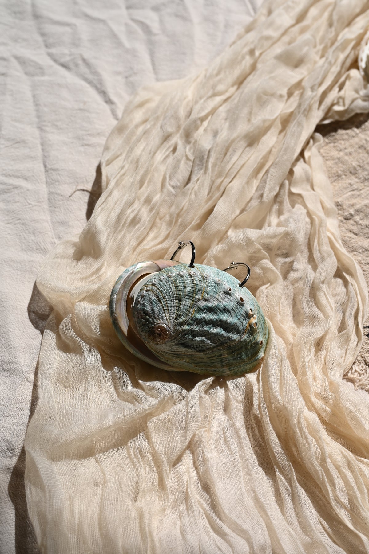 Taccuino Artigianale in Abalone Verde (~8-10 cm)